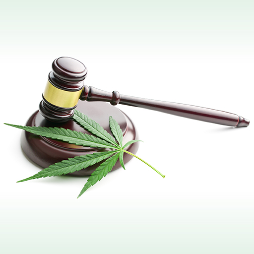 ClearStaff explains legalized marijuana and employment